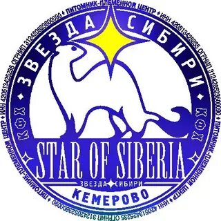 Звезды сибири отзывы