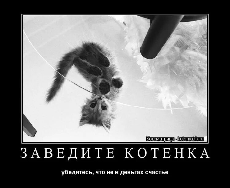 Не в деньгах счастье поговорка. Не в деньгах счастье. не в деньгах счастье рисунок. не в деньгах счастье картинки. не в деньгах счастье прикол.