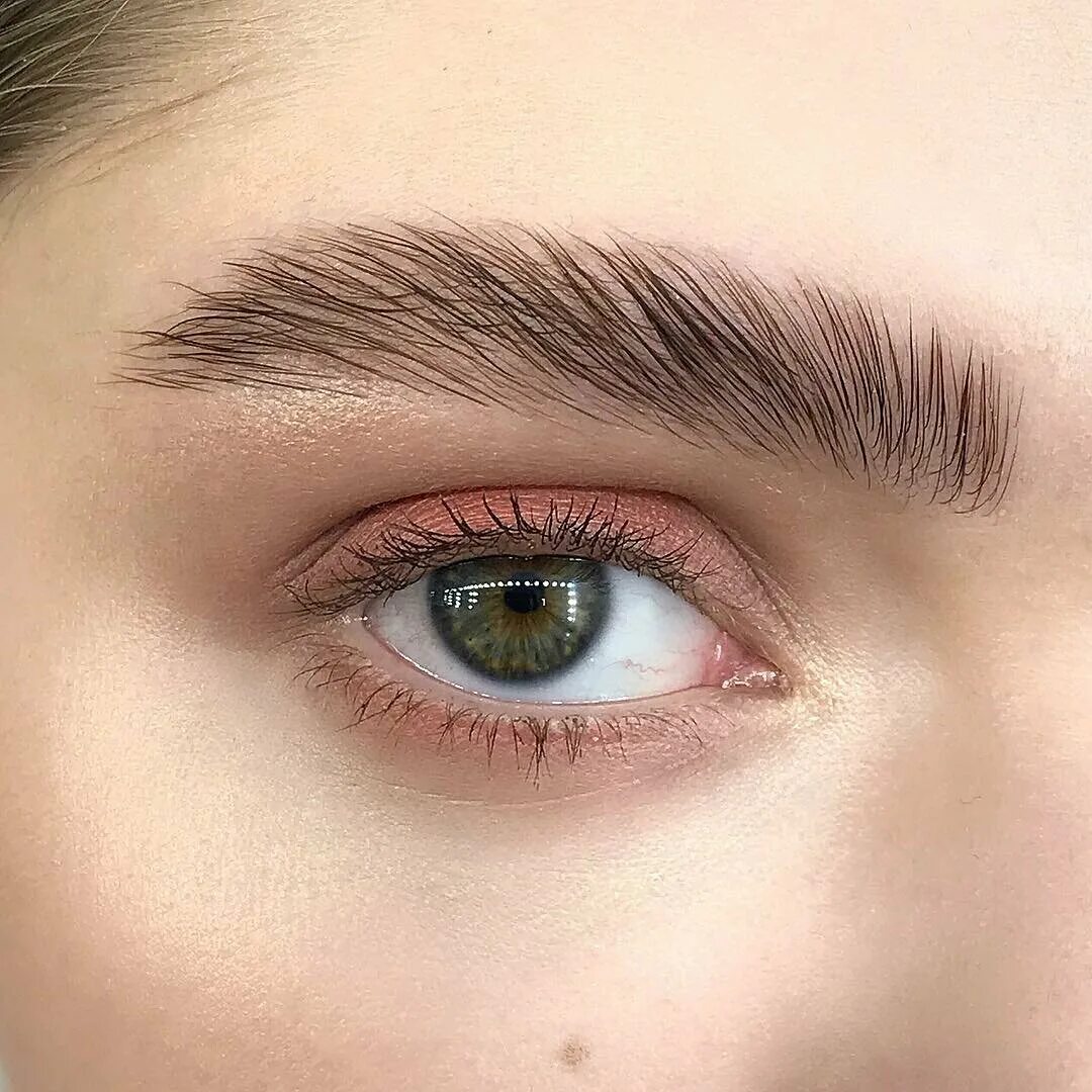 2 brow. Ламинирование бровей. ламинирование тонких бровей. eyebrow lamination.