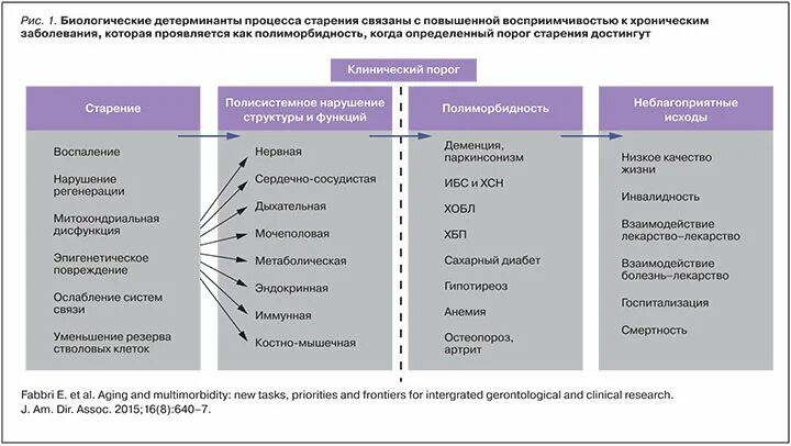 Полиморбидность это