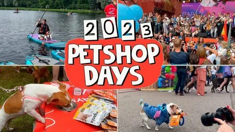 Pets shop days