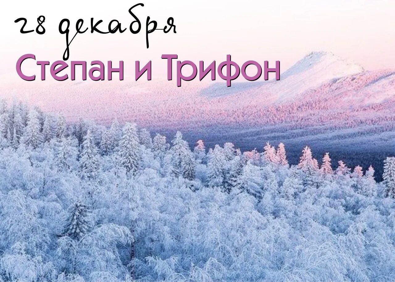 Дата 28 декабря. 28 Декабря день. 28 Декабря Трифонов. Трифонов день 28 декабря картинки.