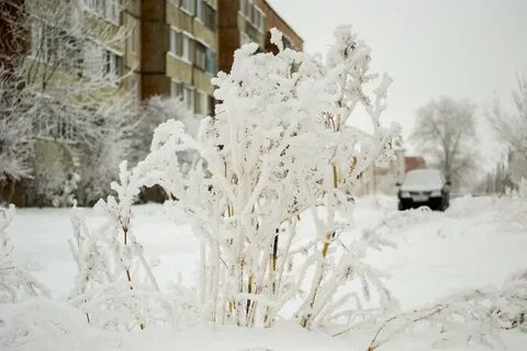 Уральские морозы