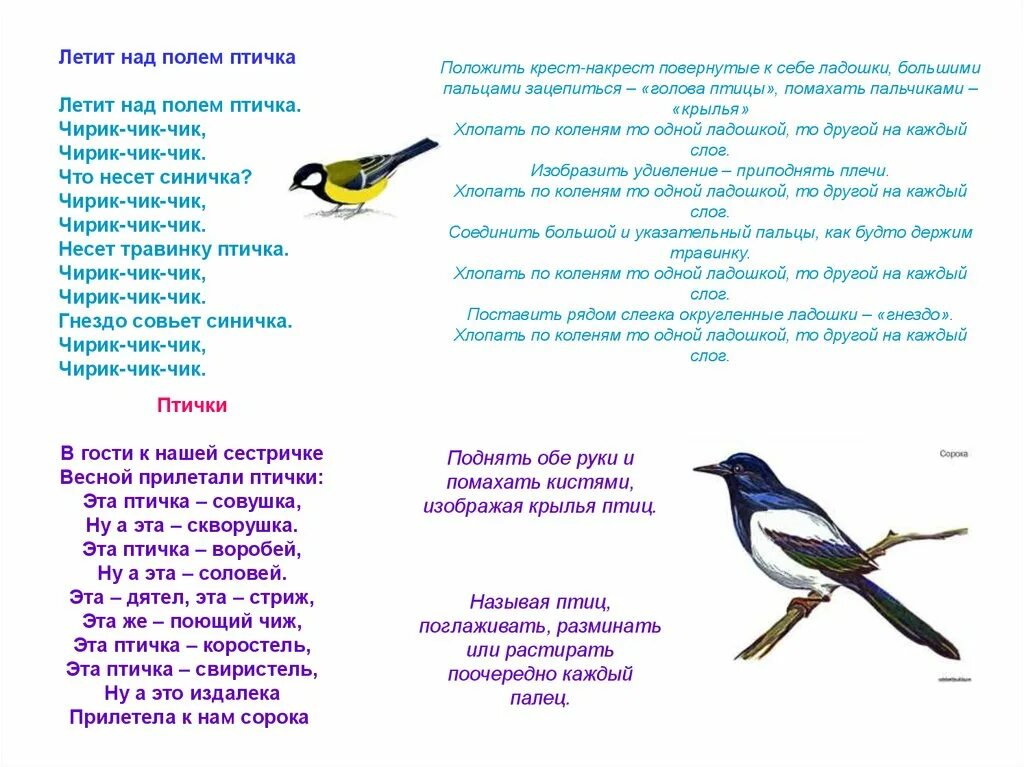 Детские песенки про птиц