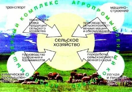 Модели связи экономики