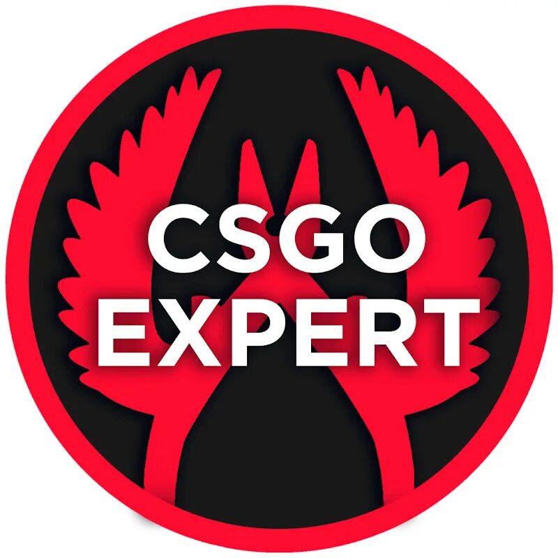 Go expert. Cs go expert. go. кс го эксперт имена.
