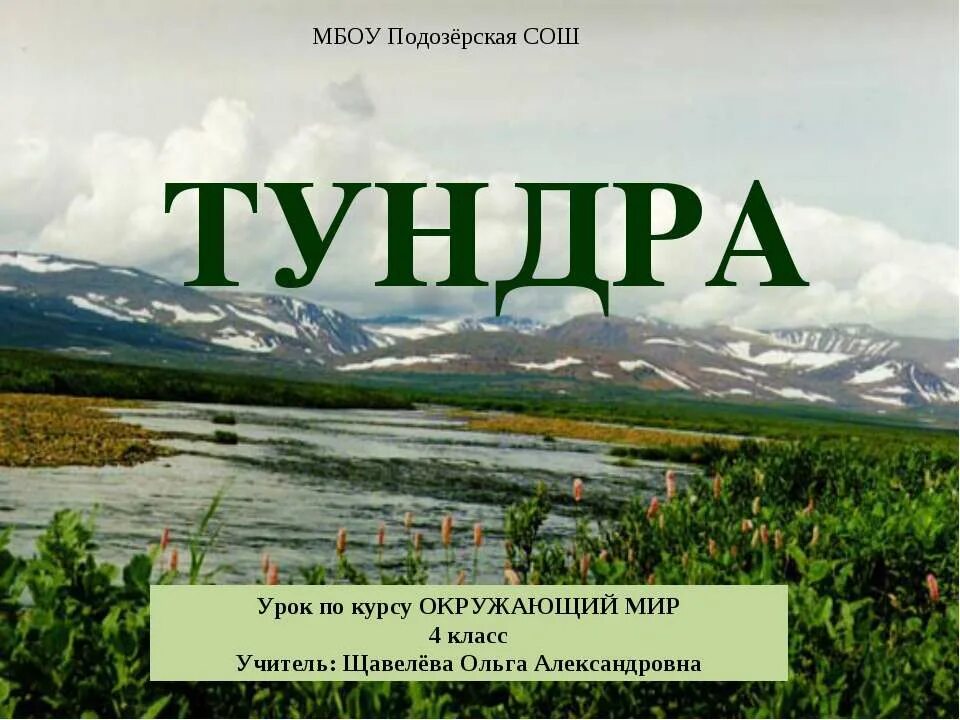 Окружающий мир зона тундра. Тундра 4 класс окружающий мир. Презентация по тундре. Тундра презентация 4 класс. Проект на тему тундра.