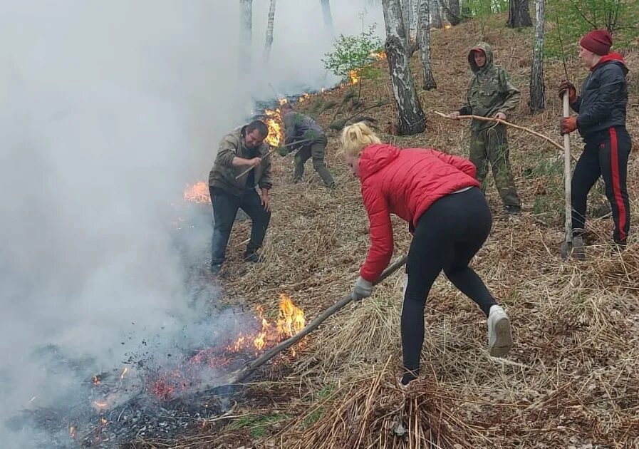 Человек в Лесном пожаре. Лесные пожары в Сибири. Пожары в Красноярском крае. Местные жители тушат пожар.