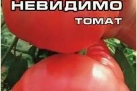 Видимо невидимо описание