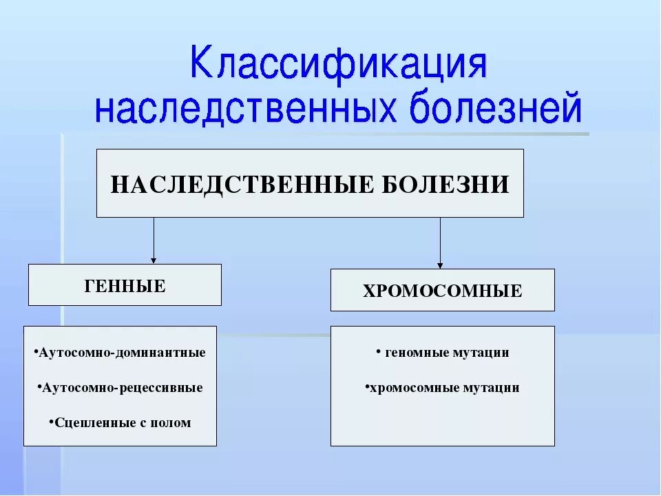 Наследственные заболевания человека мутации. Генные геномные хромосомные заболевания таблица. наследственные болезни таблица хромосомные болезни. наследственные заболевания таблица хромосомные геномные. генные и хромосомные болезни человека.