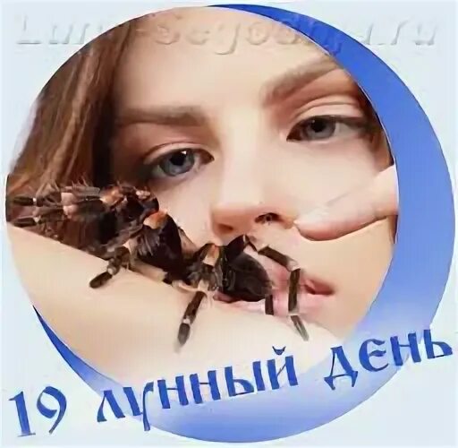 19 октября лунный день
