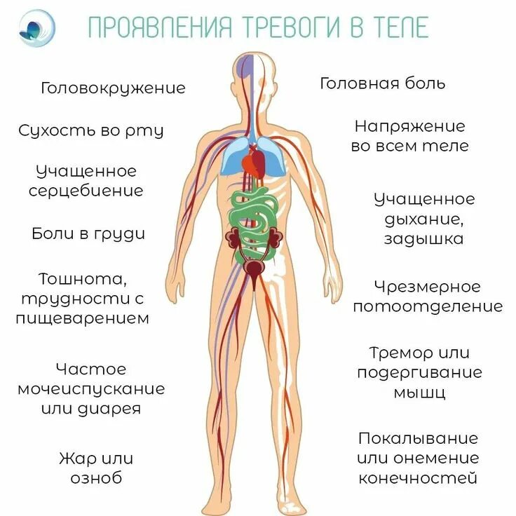 Соматические симптомы тревоги. Проявление тревоги в теле. Тревожность симптомы. Соматические проявления тревожности. Соматические симптомы тревоги.