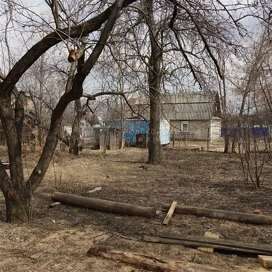 кафе поминальная трапеза на николо-архангельском кладбище. окольная. земля в салтыковке. балашиха окольная дом 6 фото. салтыковка ул окольная.