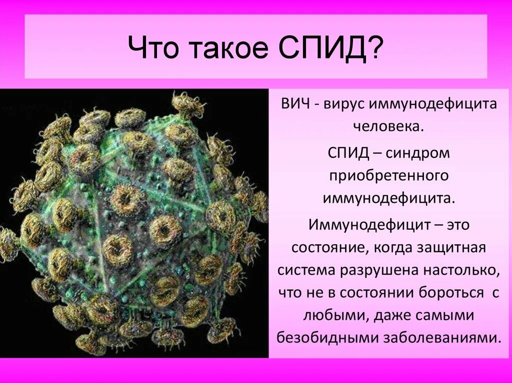 Вирус спида название. СПИД. Вирус СПИДА. Вирус иммунодефицита человека. Сообщение о вирусе ВИЧ.