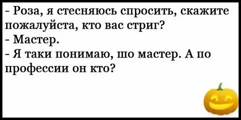 Слушать анекдоты без мата самые смешные