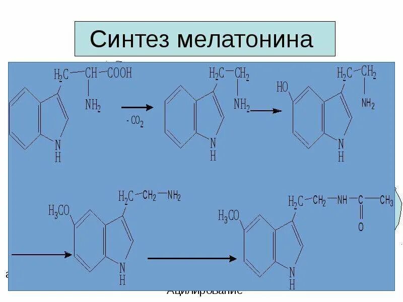 Синтез мелатонина. Синтез мелатонина из триптофана. Схема синтеза мелатонина. Образование мелатонина. Меланин и мелатонин Синтез.