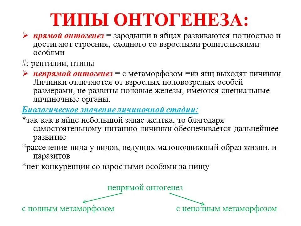 Онтогенез характерен. Типы онтогенеза прямое и Непрямое развитие. Типы онтогенеза прямой и непрямой. Онтогенез . Стадии онтогенеза. Типы онтогенетического развития. Характеристика прямого и непрямого онтогенеза.