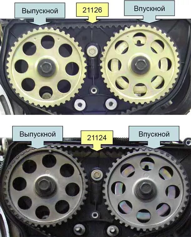Сколько на 16 клапанном двигателе. Шкивы распредвалов 2112 и 21124. Шестерни распредвалов ВАЗ 2112 16 клапанов 1.5. Шкив ГРМ 21126. Шкив распредвала ВАЗ 2112.