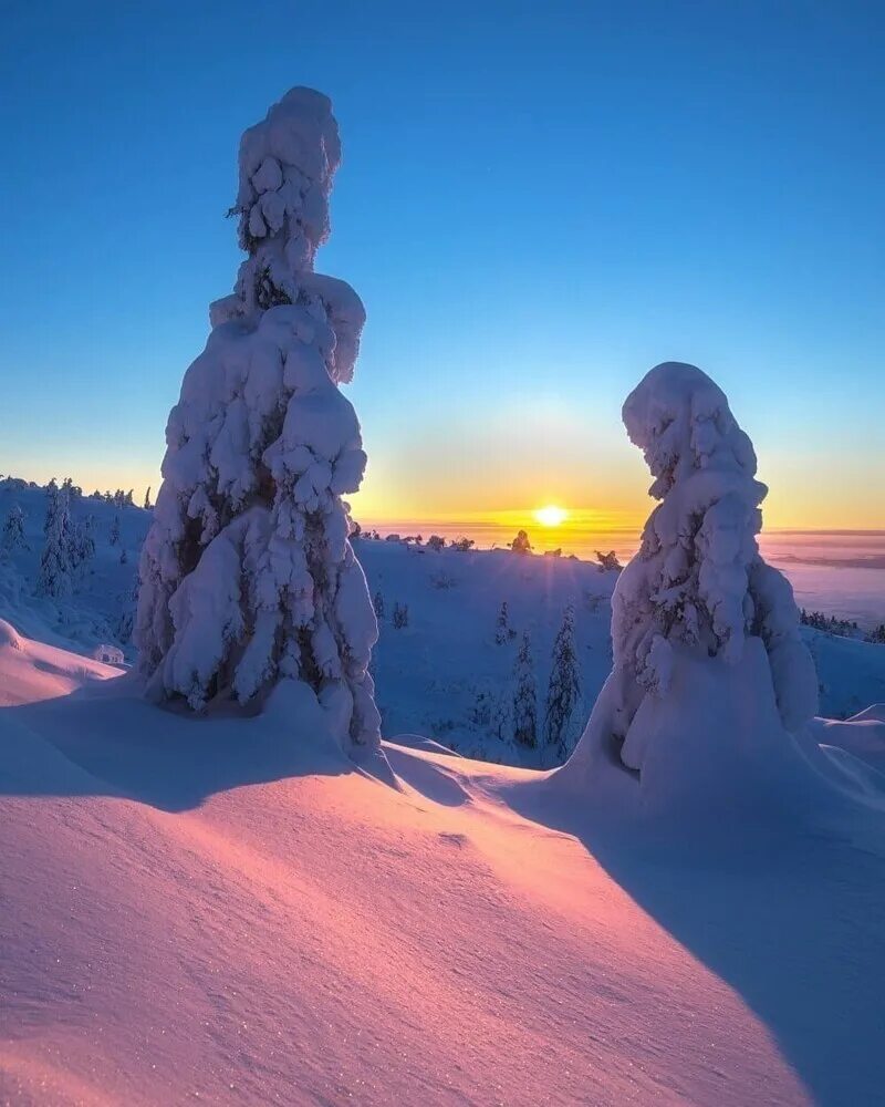 Редкую зиму