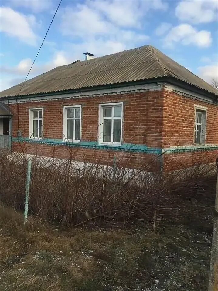 Большой самовец воронежская. Большой самовец воронежская. Большой самовец (липецкая область). Самовец липецкая область. Большой самовец воронежская.