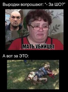 А нас за шо