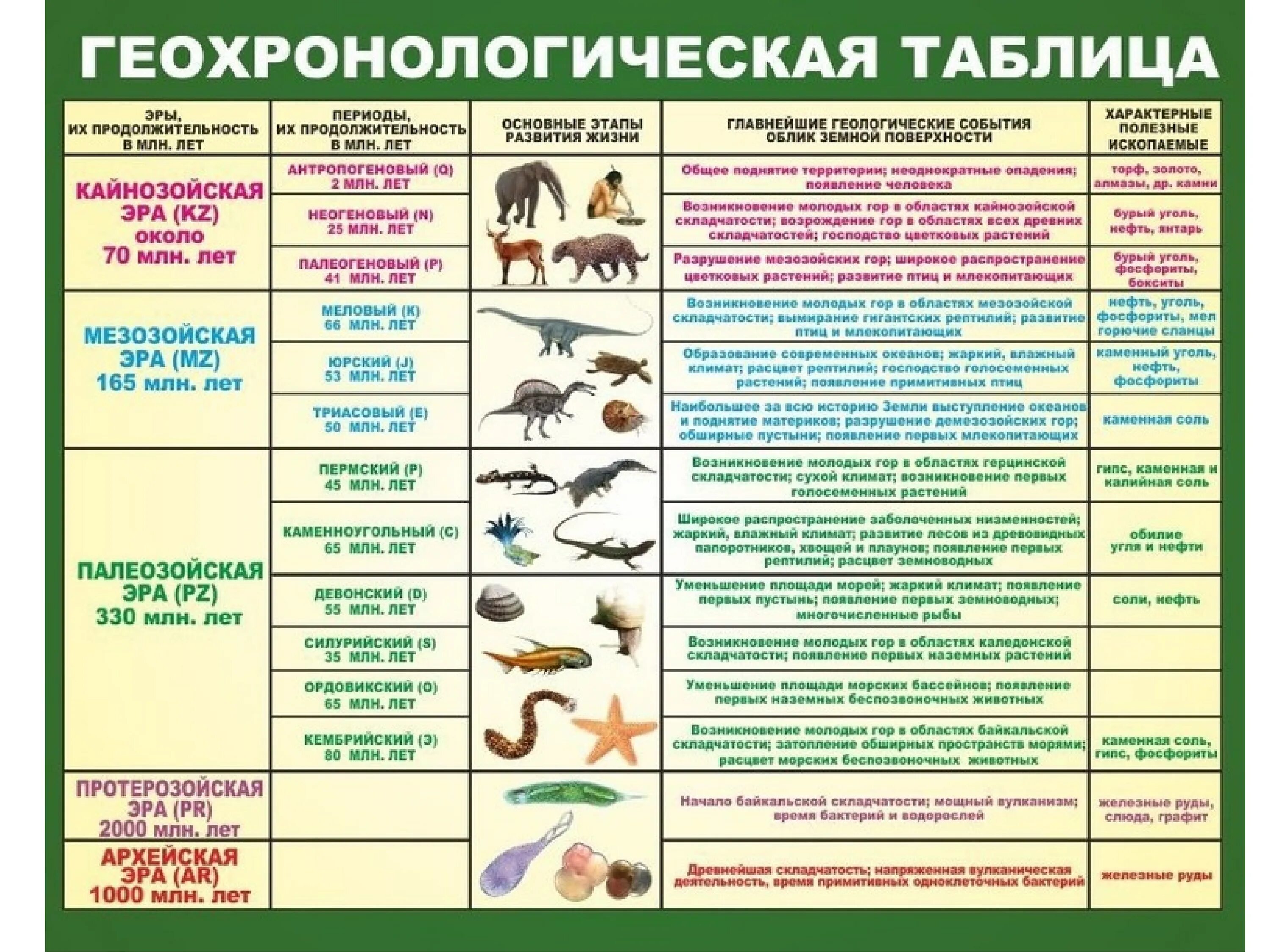 Эры и периоды в развитии жизни. Геохронологическая история земли таблица биология. Геохронологическая таблица эры и периоды. Геохронологическая таблица эволюции человека. Геологическая Геохронологическая таблица.