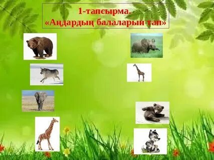 Қыздар кездейсоқ ішке кіреді