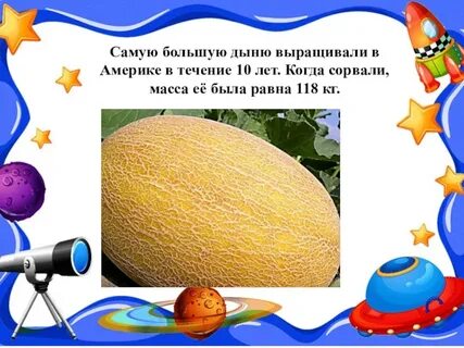 Происхождение дыни