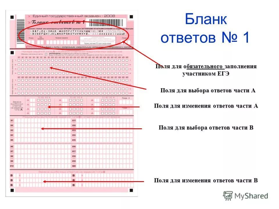 Вертикальные части ответы. Бланки ответов. Шаблон бланков ответов. ЕГЭ поля для изменения ответов. Бланк ответов для итоговой аттестации.