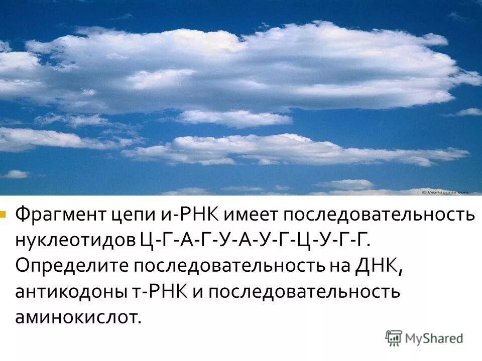 Фрагмент цепи и рнк имеет. Фрагмент цепи и рнк имеет