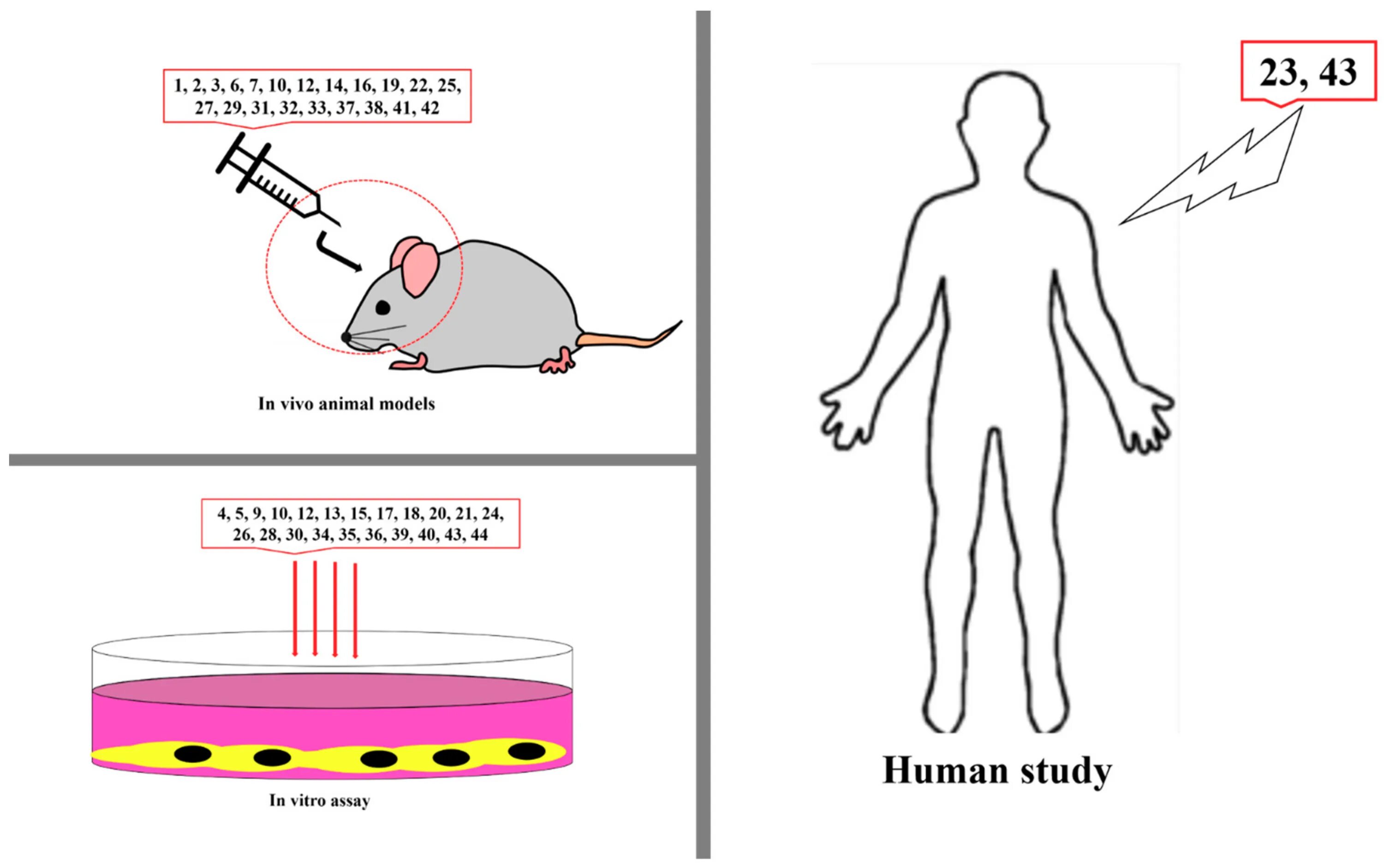 Исследования in vivo и in vitro. In vivo и in vitro что это такое. Методы in vivo. Опыты in vivo. Исследования in vivo