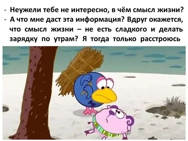 Смешарики смысл жизни. Бараш кузинатра. кар карыч кузинатра. кузинатра смешарики. кар карыч и бараш.