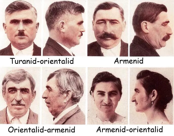 Армяне какая раса. Переднеазиатский антропологический Тип. Переднеазиатский арменоидный Тип внешности. Арменоиды раса.