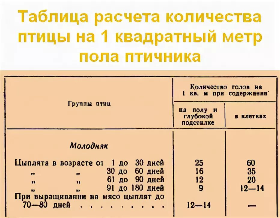 Сколько 47 30. Плотность содержания бройлеров на 1 м2. Норма площади на 1 курицу несушку в курятнике. Плотность бройлеров на 1 кв.м. Нормы содержания бройлеров на 1 кв.м.