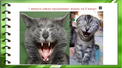 Минута смеха