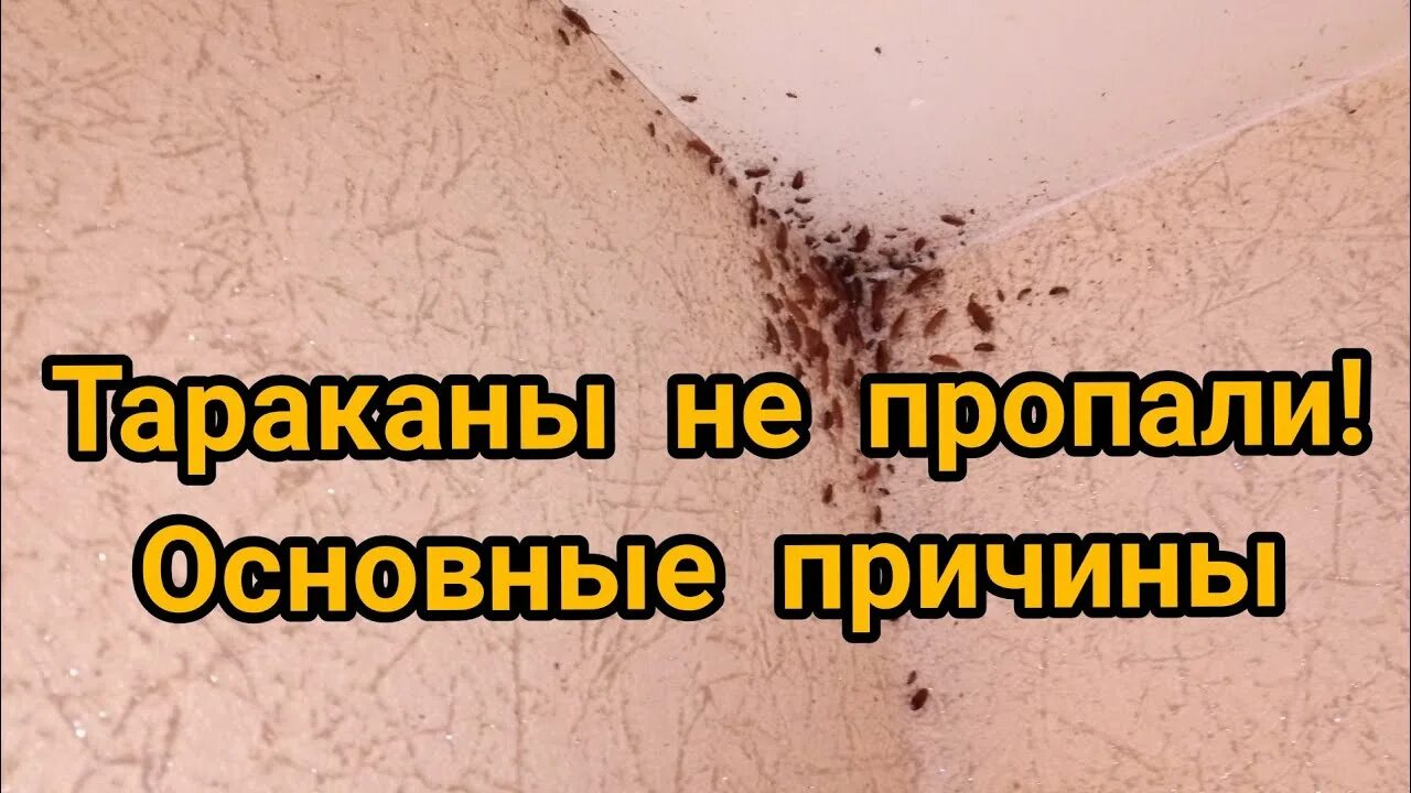 Пропали общие альбомы