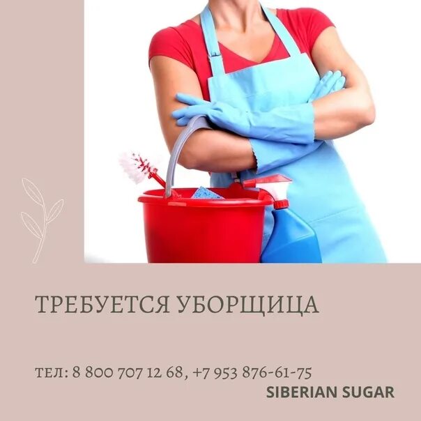 Работа техничка неполный день. Требуется уборщица. Требуется уборщица картинки. Срочно требуется уборщица. Требуется техничка.