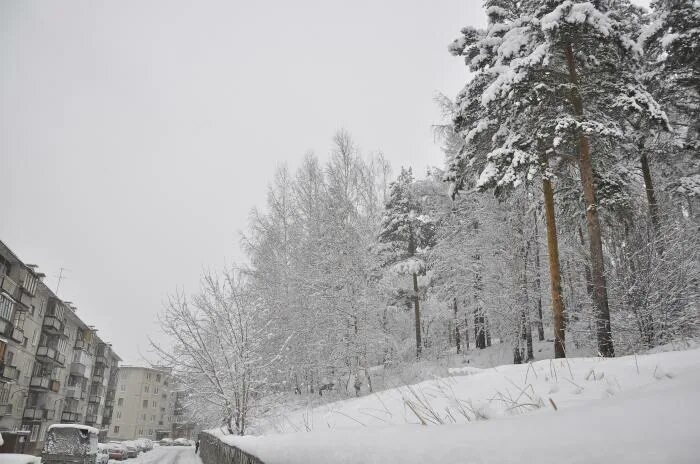 квартиры города новоуральск. ленина 115 новоуральск. квартиры города новоуральск. новоуральск, ул. автозаводский район новоуральск.