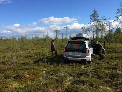 Погода в вирандозере от метеостанции