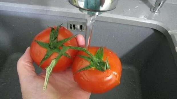 Помидор мытый. Помыть помидоры. Мойка томатов. Плодоножка у помидора.