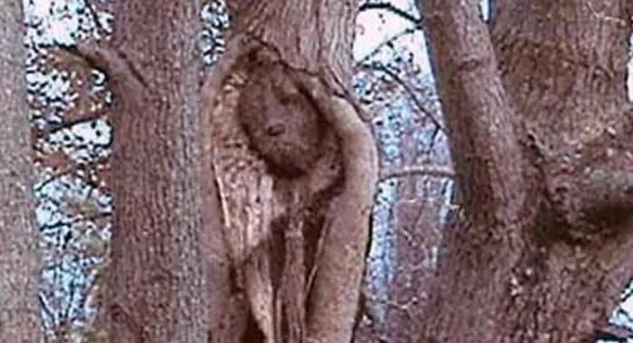 Самые загадочные, необъяснимые явления. Необъяснимые явления в небе. Необъяснимые явления на земле. Рейстрек-плайя, сша. Странные явления в небе.