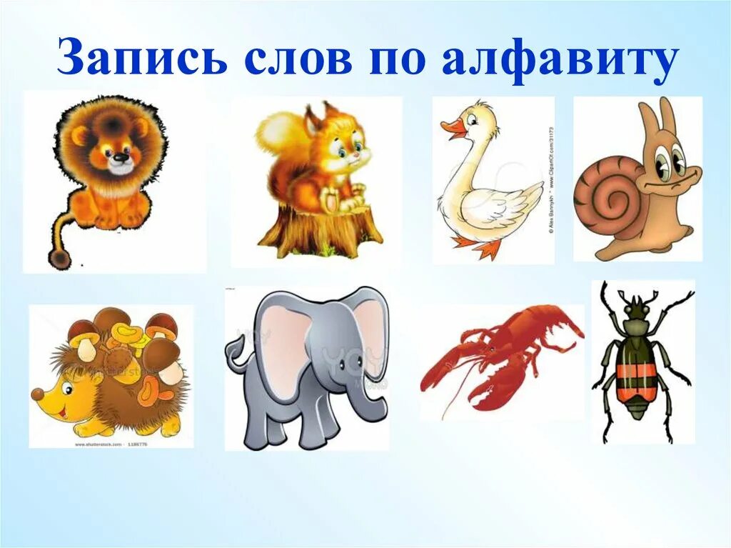 Расположи слова в алфавитном порядке 1 класс. Тема урока алфавит. расположи названия животных в алфавитном порядке. презентация алфавит 1 класс. расставь в алфавитном порядке 1 класс.