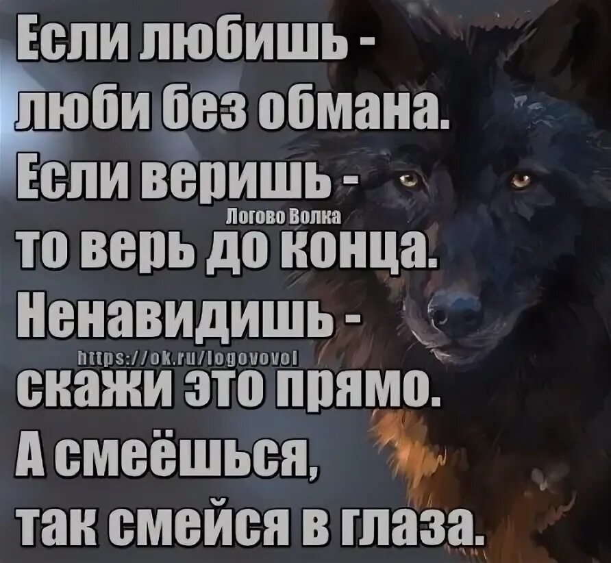 Если любишь люби без обмана если веришь то. Если любишь люби без обмана если веришь то верь до конца. Если любишь то люби до конца. Цитата если любишь люби без обмана. Без обмана без кодов