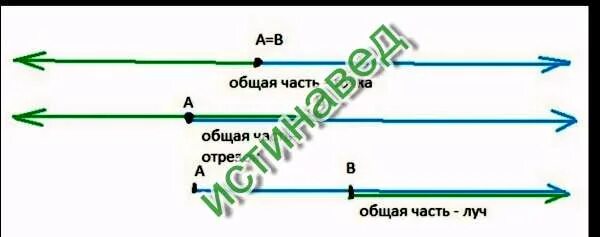Общая точка 2 лучей. Отрезок общая часть двух лучей. начерти два отрезка с общей точкой. начертите два луча так чтобы их общая часть была отрезком. 2 луча с общим отрезком.