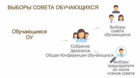 Деятельности совета обучающихся