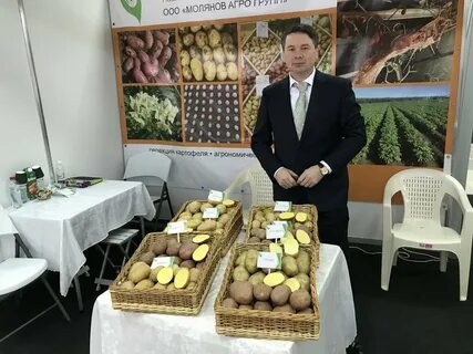 Агрогрупп