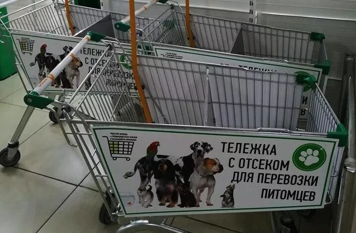 Можно с собаками в продуктовый магазин