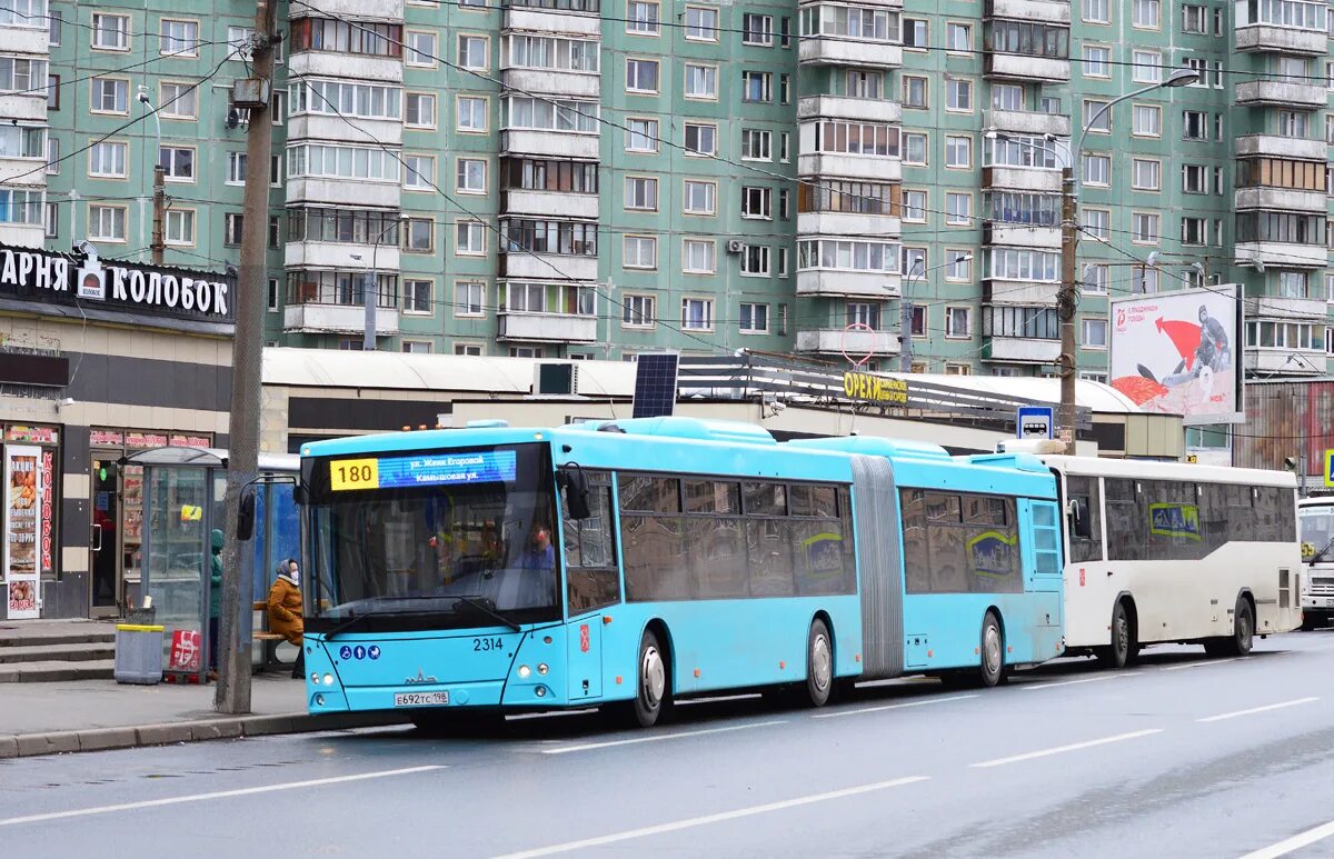 МАЗ 216 Лазурный. 180.Автобус проспект Просвещения. Автобус 180 СПБ. МАЗ-216 автобус 180. Маршрут 180 автобуса спб остановки