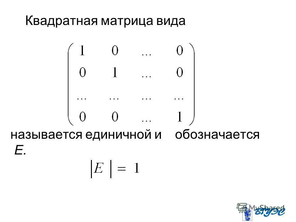 Вторая строка матрицы