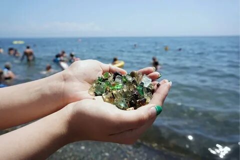 Приморский экологический